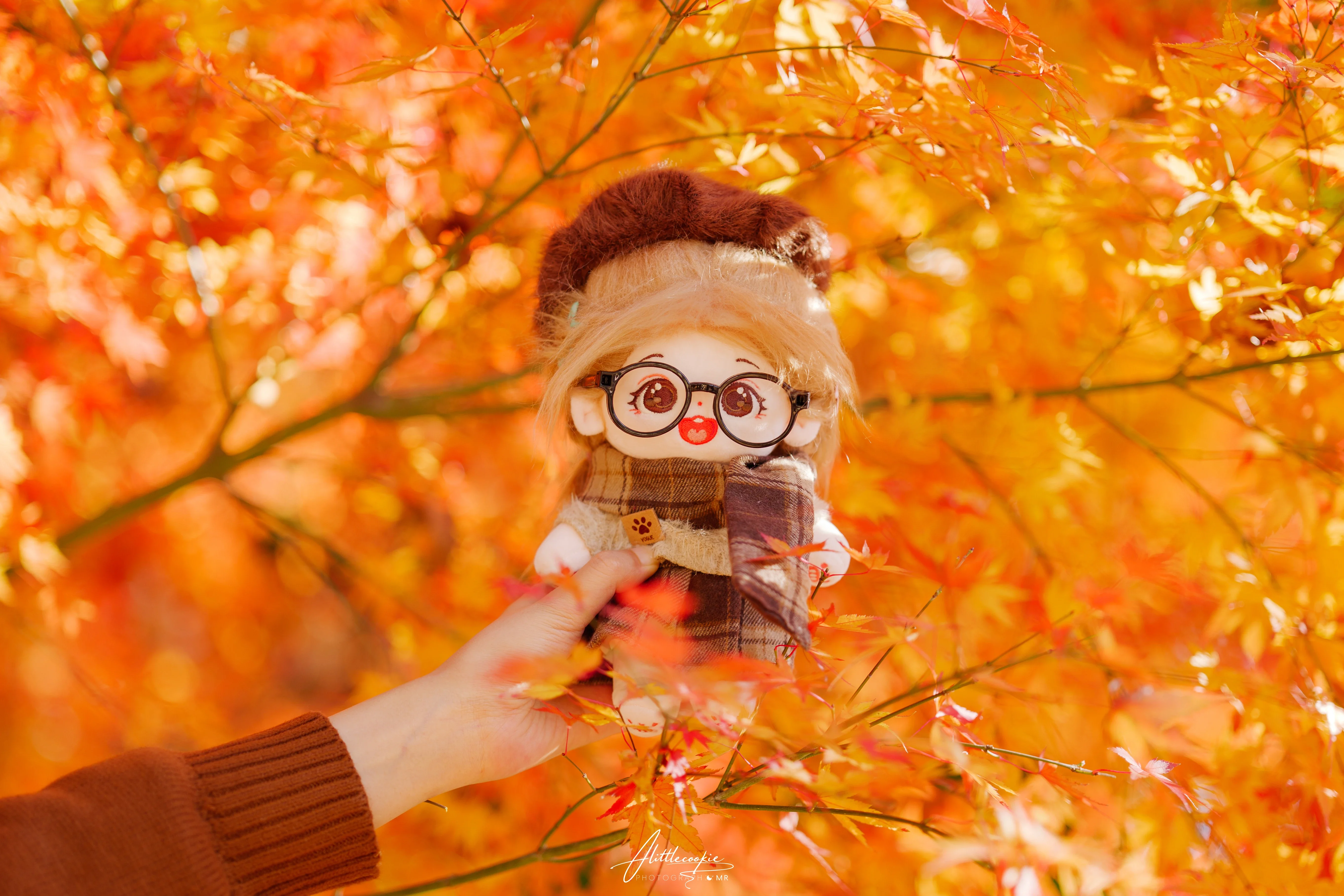 人间忽晚 山河已秋