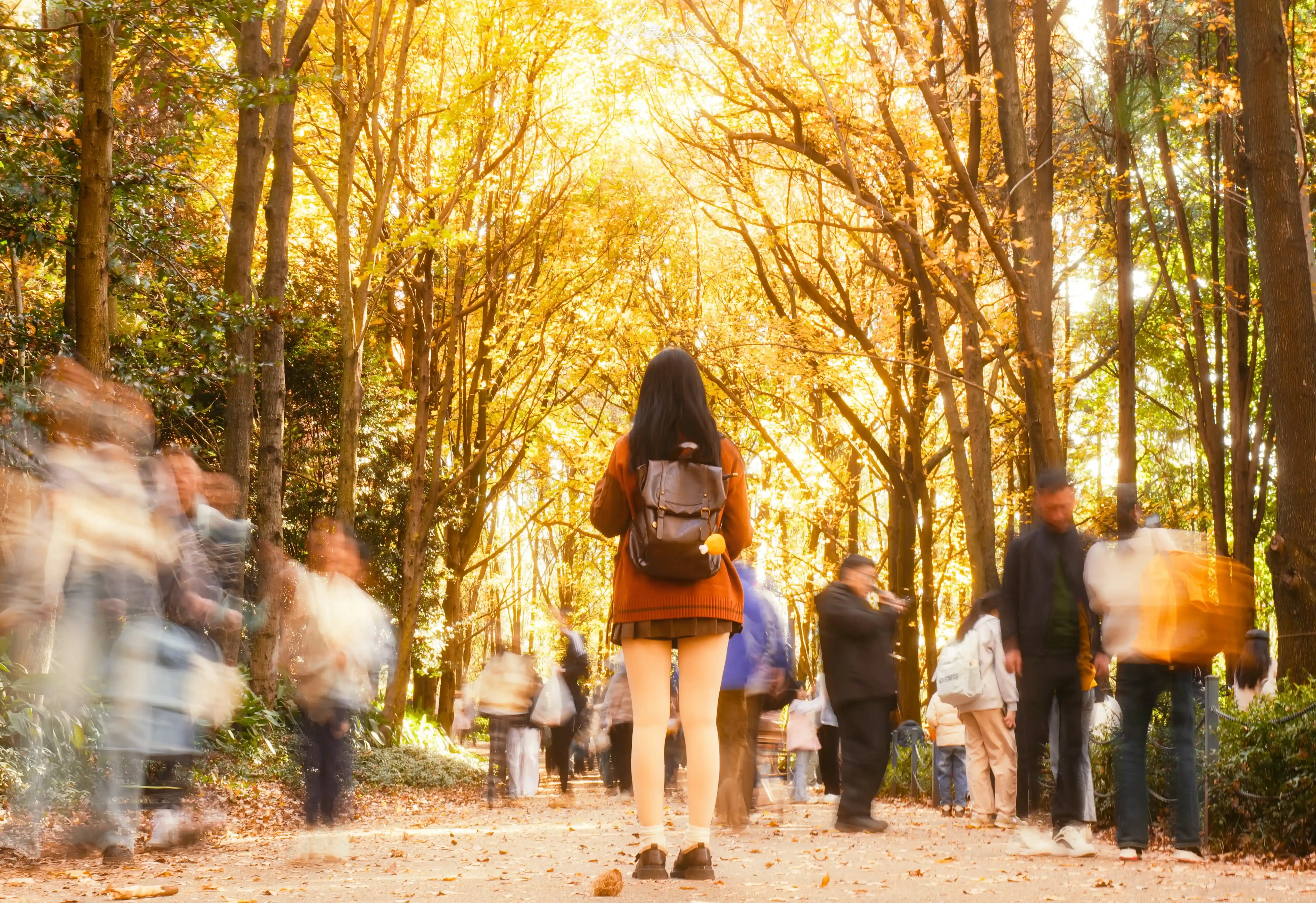 人间忽晚 山河已秋