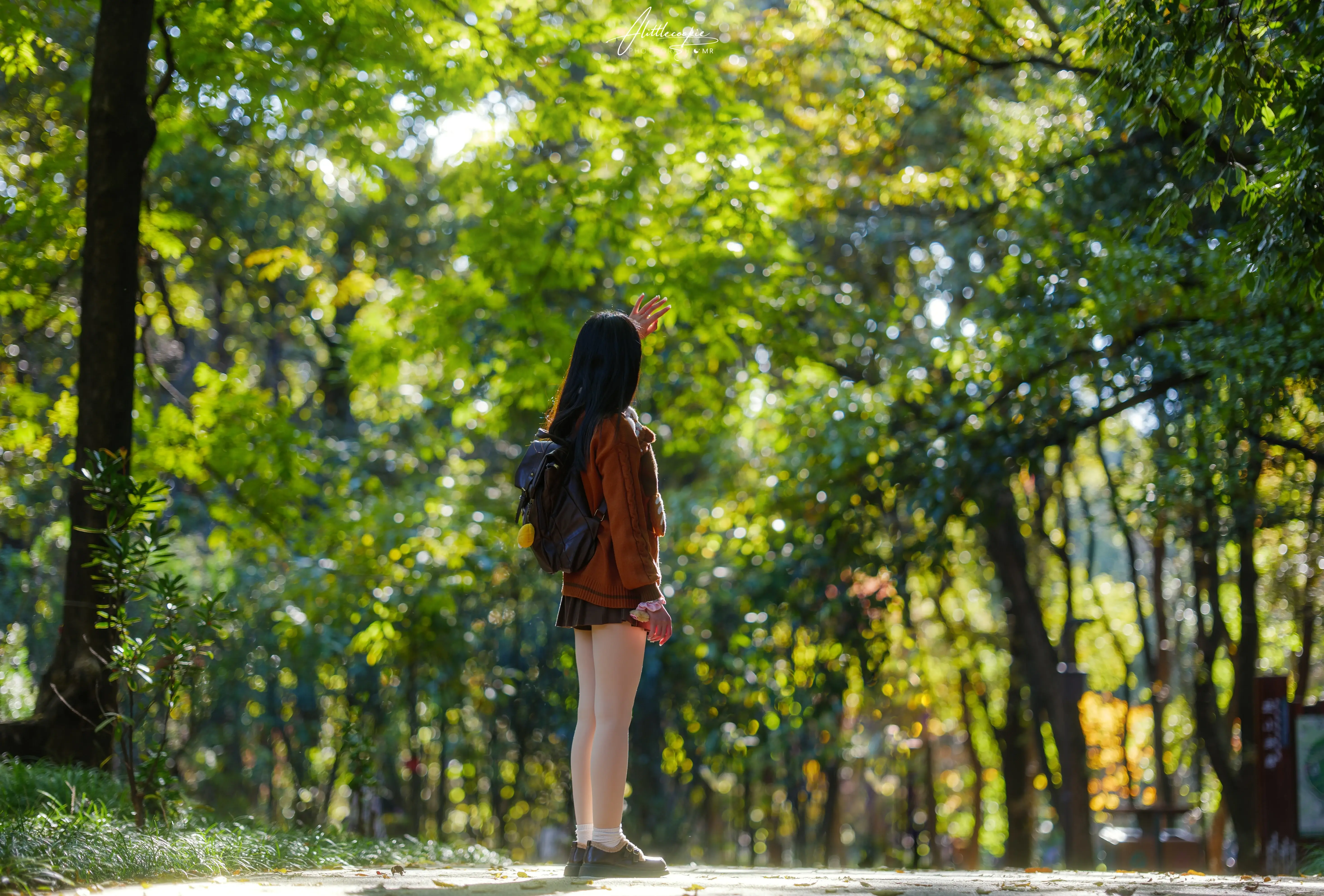 人间忽晚 山河已秋